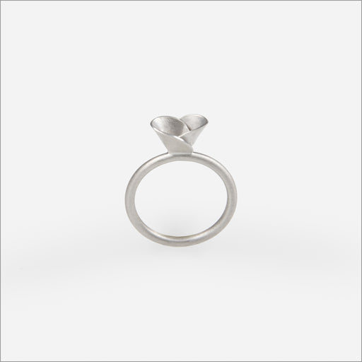 Anel Alegria • Prata